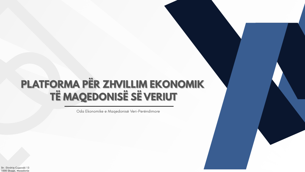 Platforma Për Zhvillim Lokal të Maqedonisë së Veriut – Zgjedhjet Lokale 2025